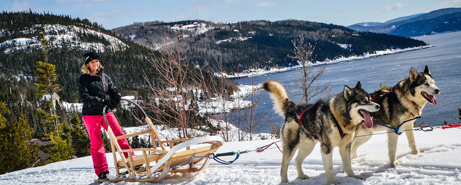 FORFAITS TRAÎNEAU-À-CHIENS