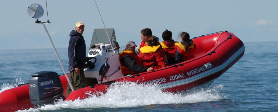 Croisières en Zodiac Kamouraska