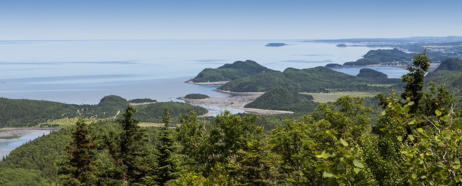 Parc du Bic
