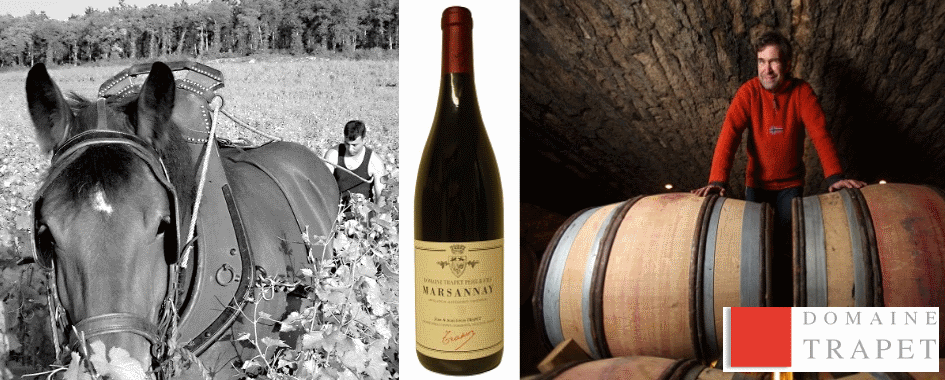 Vignobles France - FRANCE Vignobles France