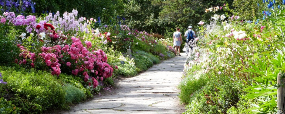 Forfaits Jardin de Métis