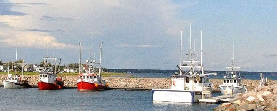 Info tourisme Havre St-pierre