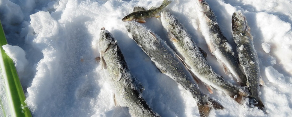 ACTIVITÉS QUATRE SAISONS TEMISCOUATA