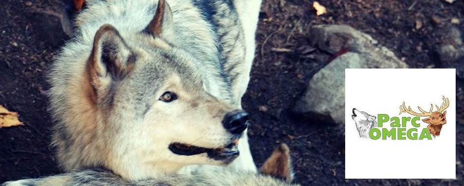 Parc Omega