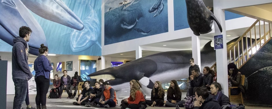 Visitez notre musée - Centre d'interprétation