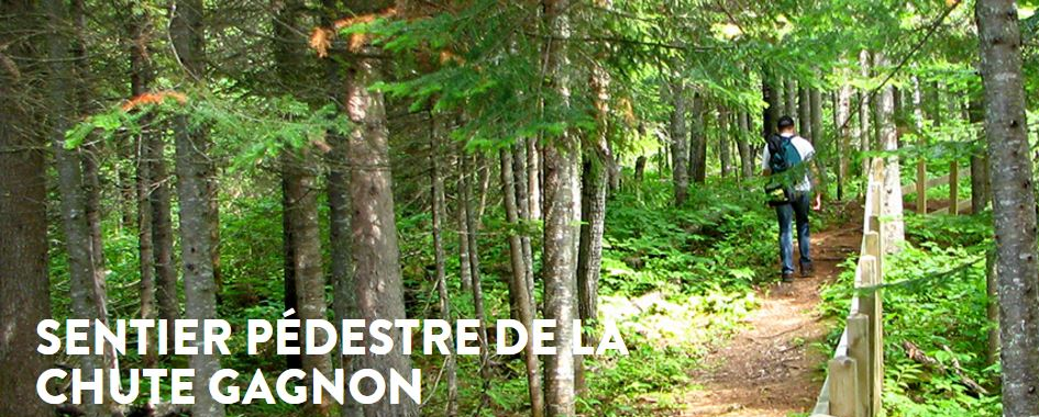 SENTIER PÉDESTRE DE LA CHUTE GAGNON