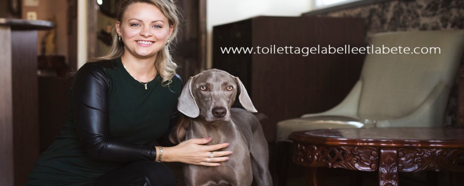 Toilettage la Belle et la Bête