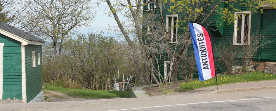 Entrés L'Antiquaire Saint-Irénée