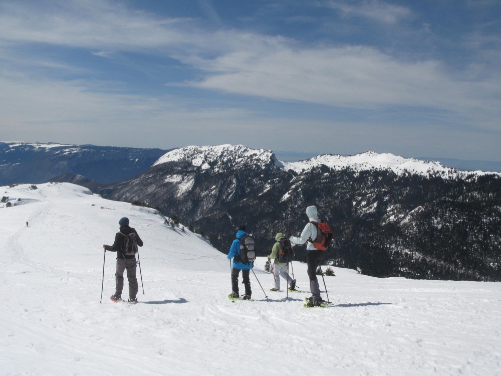 - AUVERGNE-RHONE-ALPES