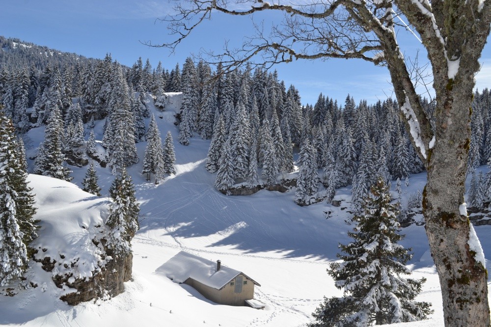 - AUVERGNE-RHONE-ALPES