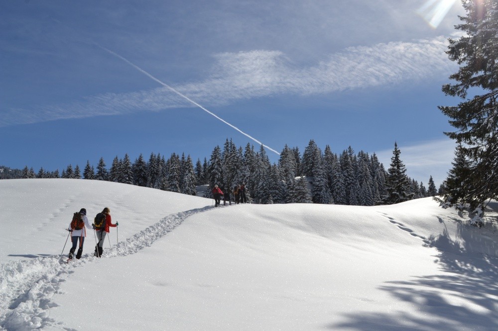 - AUVERGNE-RHONE-ALPES