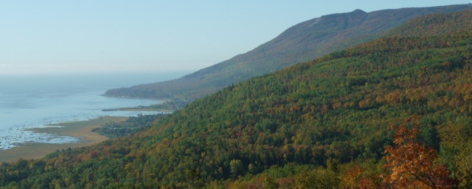 Petite-Riviere-Saint-Francois